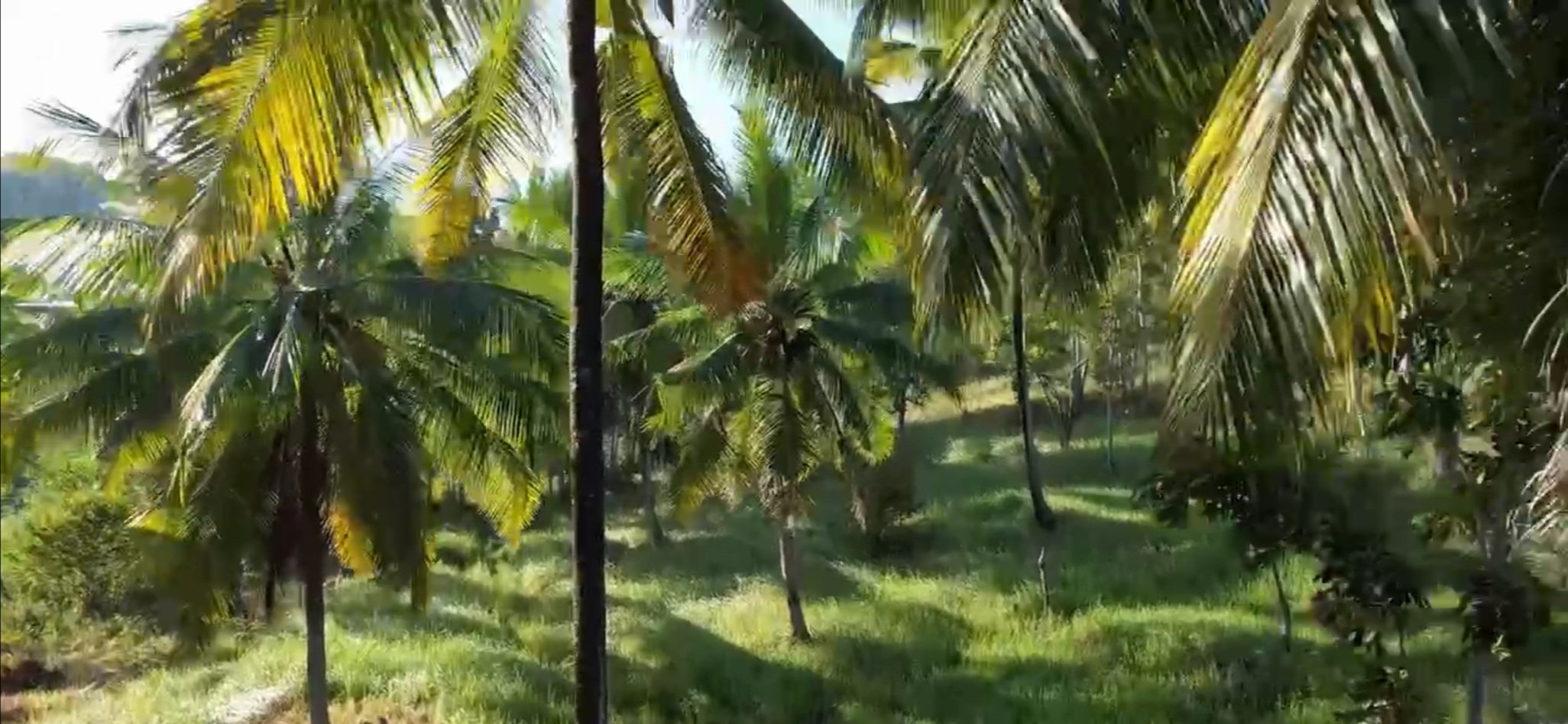 Announcing Kuta Palms, Eco-Luxe Estate Kuta, Lombok